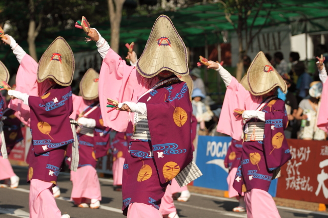 南砺！石楠花舞妙