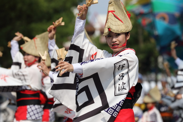 よさこい連 伊呂波